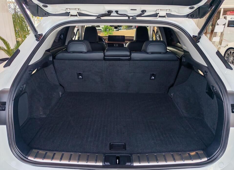 Lexus RX, IV Рестайлинг 300 2.0 AT (238 л.с.) 4WD